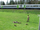 Das bisschen Lärm ....